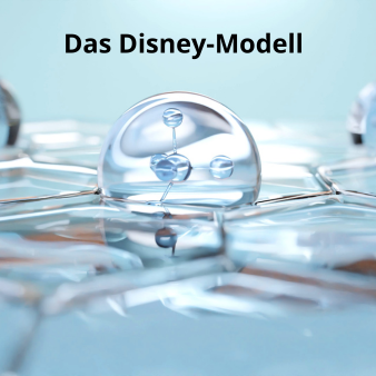 Disney Modell